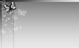 Grey-butterfly-flower-backgrounds